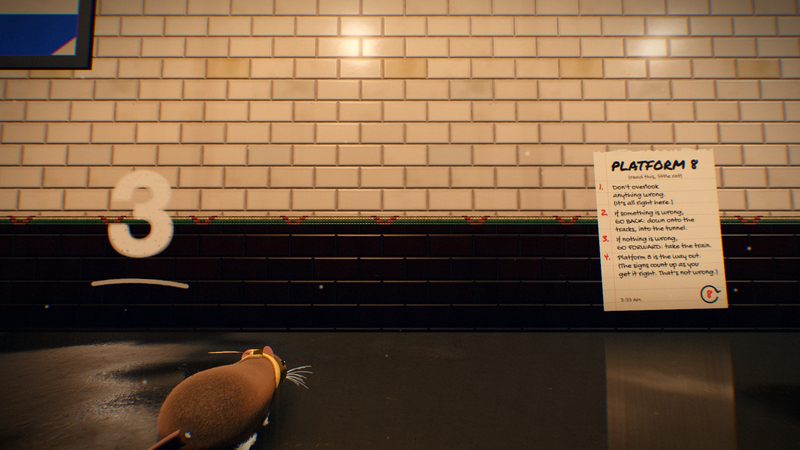 The rules notice taped to the tiles, and the loop count chalked on the wall.
